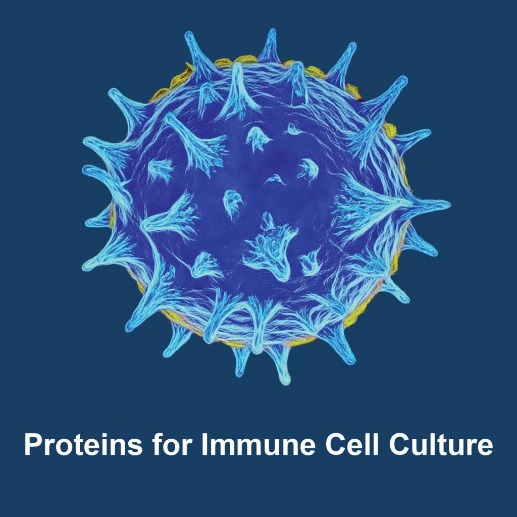 3-D rendering of an immune cell. Links to Proteins for Immune Cell Culture webpage.